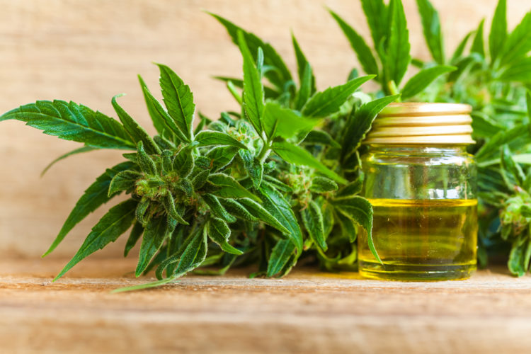 What is Hemp Oil Used For?