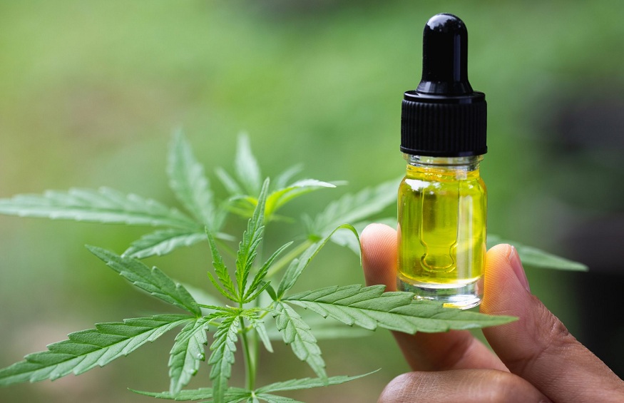 Choosing Quality CBD Oil: What to Look for Before Buying CBD Oil in India Online