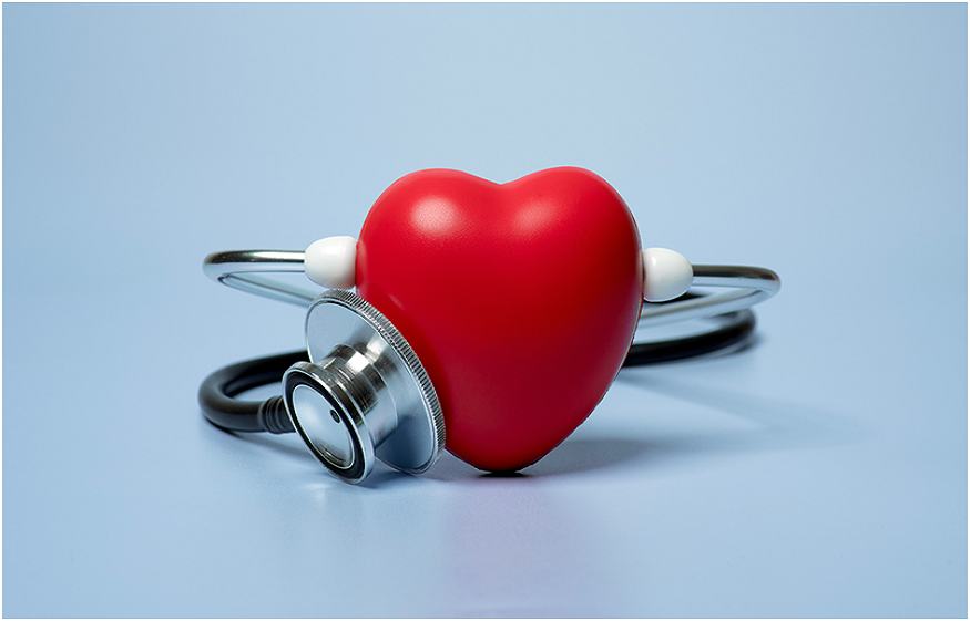 family health insurance plan